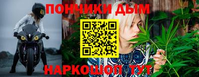 крисы Сланцы