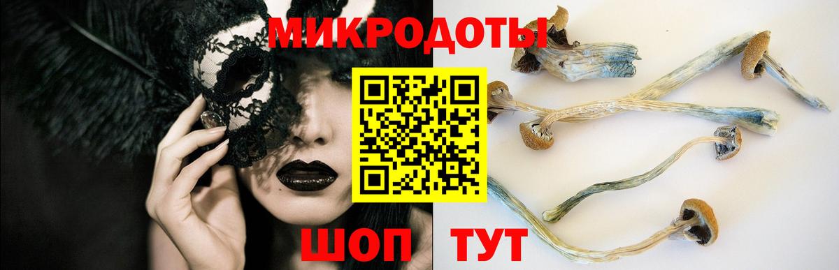 Галлюциногенные грибы прущие грибы Хасавюрт