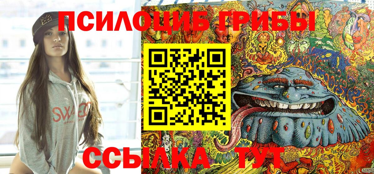 Хасавюрт  Галлюциногенные грибы GOLDEN TEACHER  Вход с VPN 